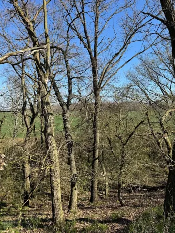 Prodej pozemku, Jevišovice, 7710 m2