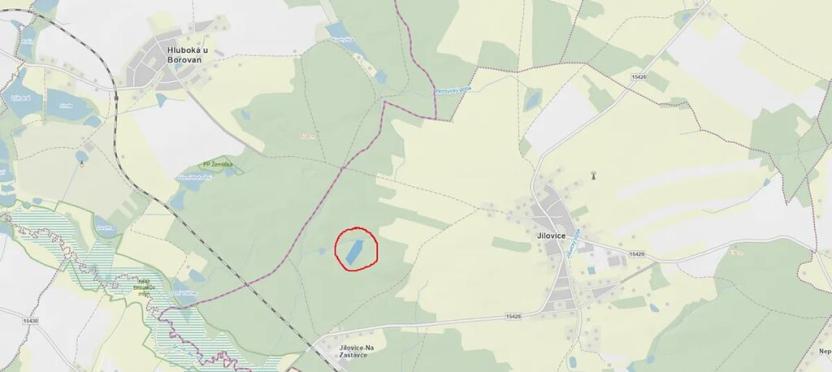 Prodej lesa, Jílovice, 13252 m2