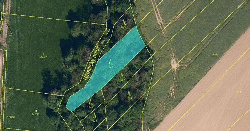 Prodej pozemku, Neplachovice, 5662 m2