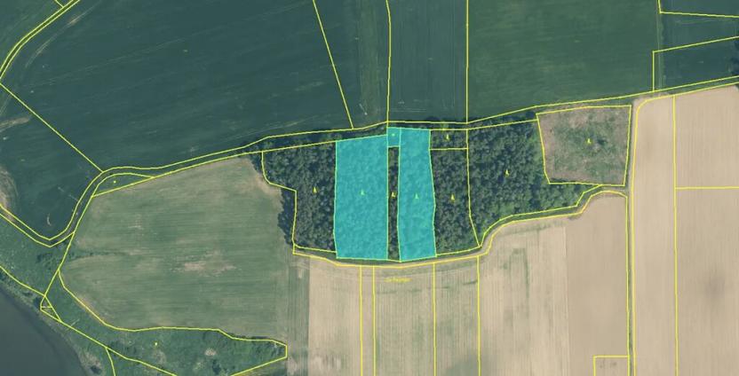 Prodej lesa, Králova Lhota, 11095 m2