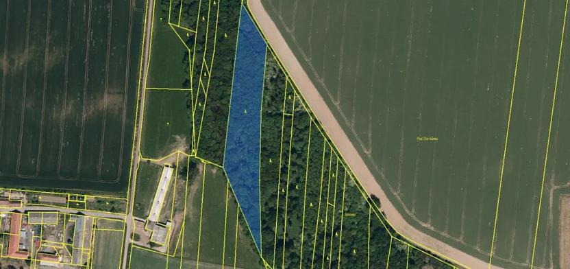 Prodej lesa, Stěbořice, 12789 m2