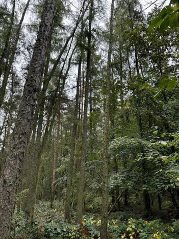 Prodej podílu pozemku, Plaňany, 23569 m2