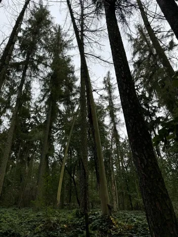 Prodej podílu pozemku, Plaňany, 23569 m2