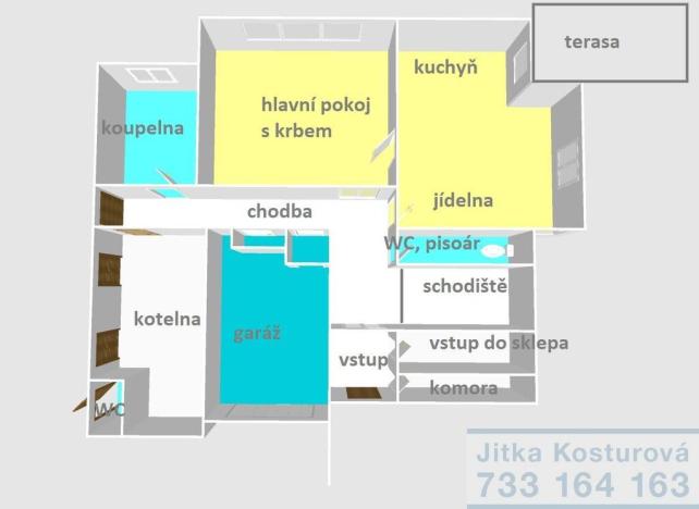 Prodej rodinného domu, Otice, Domky, 380 m2