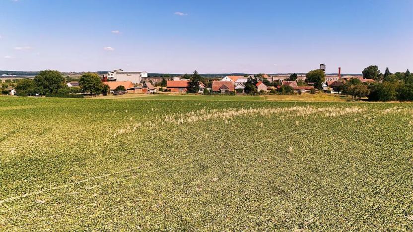 Prodej pozemku pro bydlení, Běrunice, 3467 m2