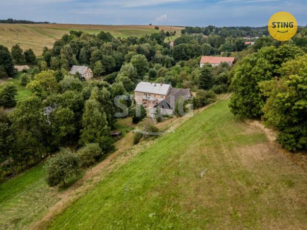 Prodej komerční nemovitosti, Potštát - Kovářov, 190 m2