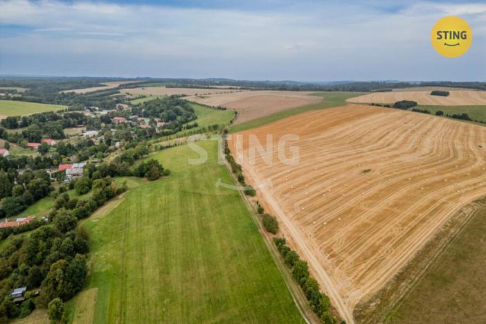 Prodej komerční nemovitosti, Potštát - Kovářov, 190 m2