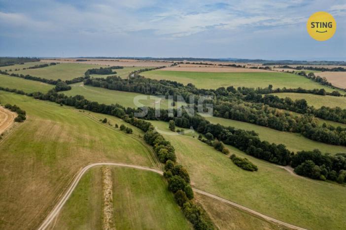 Prodej komerční nemovitosti, Potštát - Kovářov, 190 m2