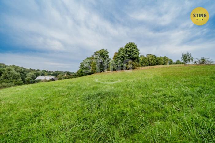 Prodej komerční nemovitosti, Potštát - Kovářov, 190 m2