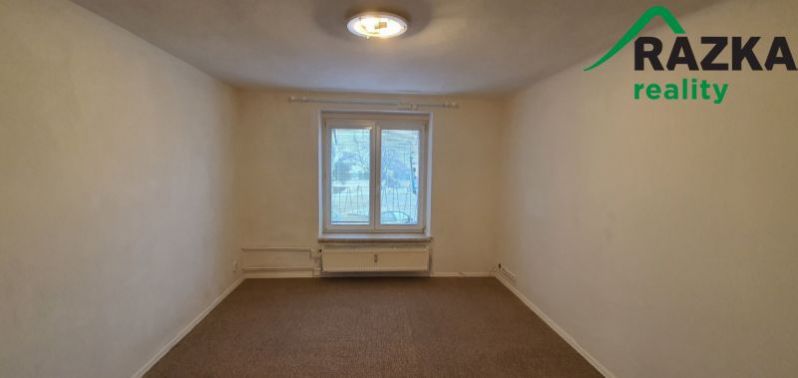 Pronájem bytu 1+1, Bor - Vysočany, 36 m2