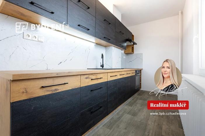 Pronájem bytu 2+1, Bílina, Sídliště Za Chlumem, 55 m2