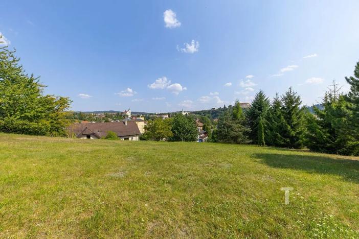 Prodej pozemku pro bydlení, Letovice, 2868 m2