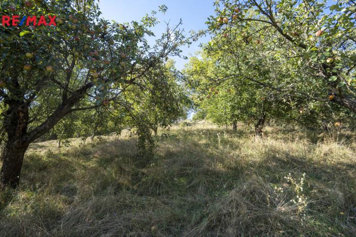 Prodej rodinného domu, Bohuslavice u Zlína, 210 m2