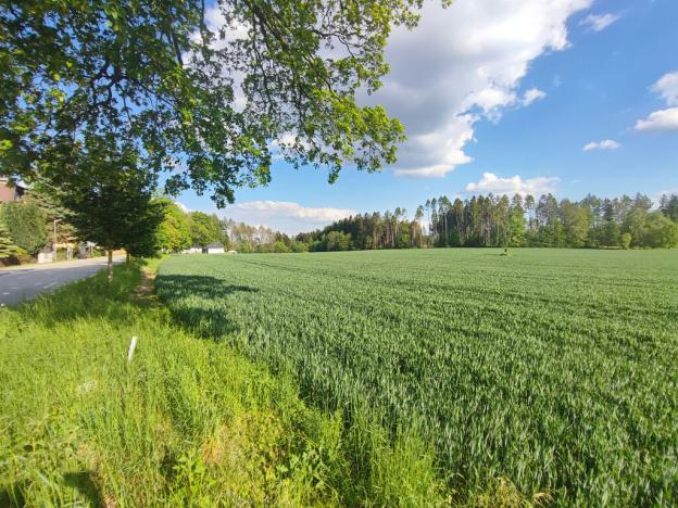 Prodej rodinného domu, Humpolec - Rozkoš, 103 m2