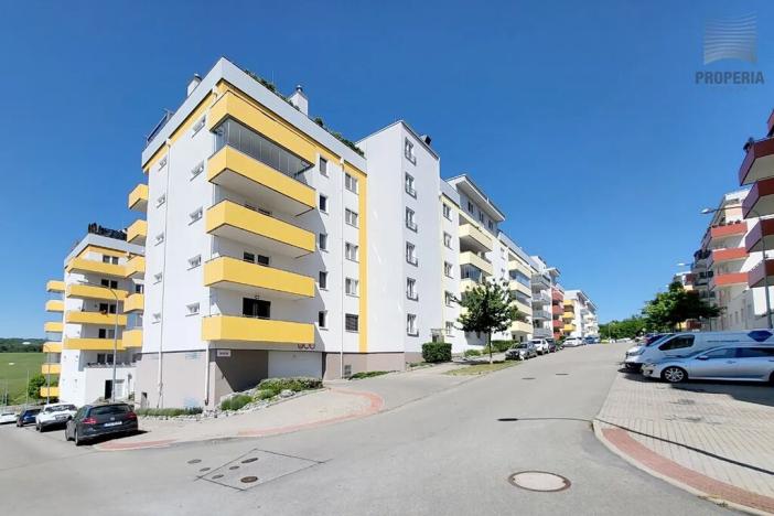 Prodej bytu 1+kk, Brno, Sentická, 68 m2