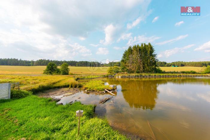 Prodej rybníku, Olbramov - Zádub, 6672 m2