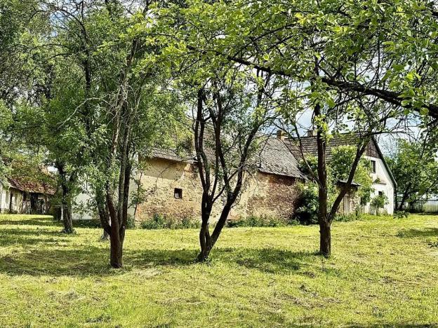 Prodej pozemku pro bydlení, Kácov, 9881 m2