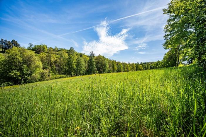 Prodej pozemku pro bydlení, Bohostice, 1498 m2