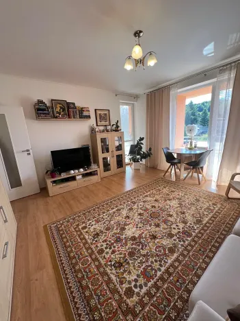 Prodej bytu 2+kk, Karlovy Vary, Spálená, 50 m2