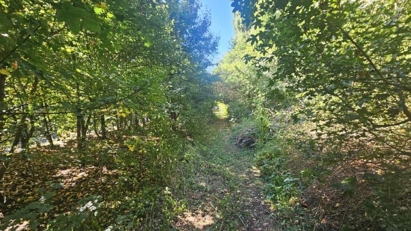 Prodej pozemku pro bydlení, Ústí nad Labem, Litoměřická, 5379 m2