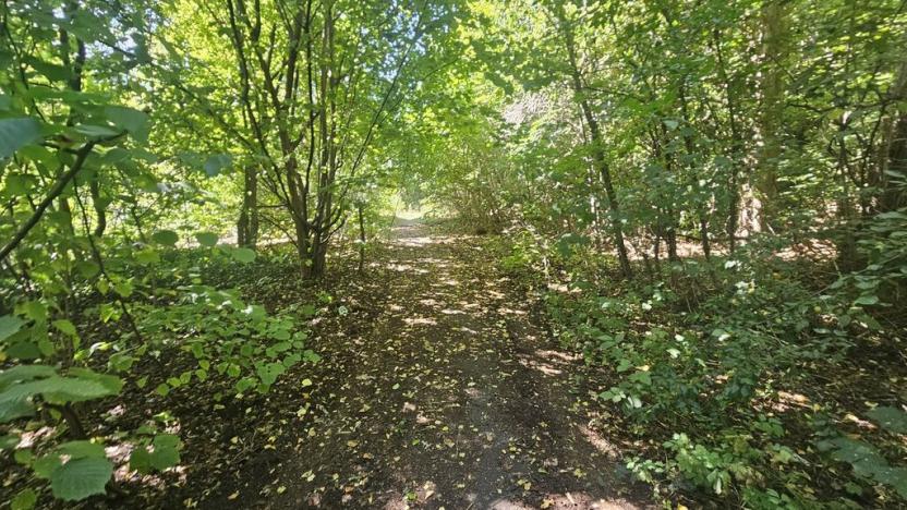 Prodej pozemku pro bydlení, Ústí nad Labem, Litoměřická, 5379 m2