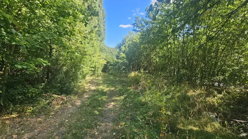 Prodej pozemku pro bydlení, Ústí nad Labem, Litoměřická, 5379 m2