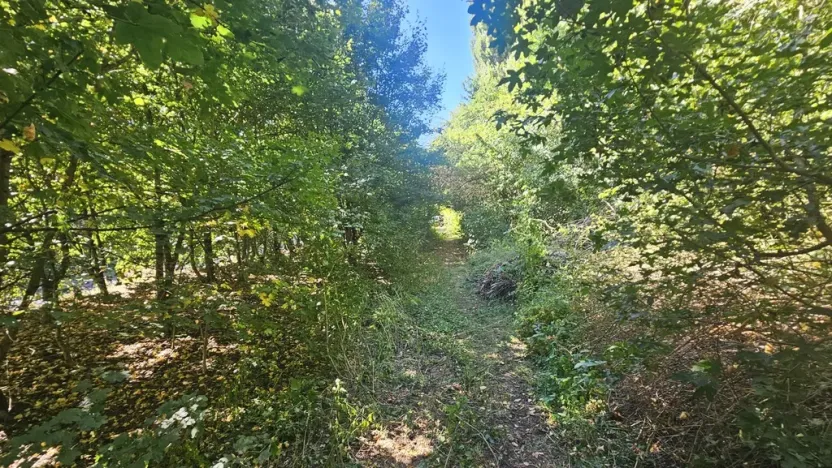 Prodej pozemku pro bydlení, Ústí nad Labem, Litoměřická, 5379 m2