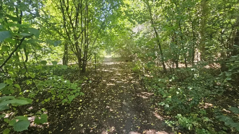 Prodej pozemku pro bydlení, Ústí nad Labem, Litoměřická, 5379 m2