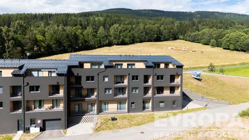 Prodej bytu 1+kk, Černý Důl, 33 m2