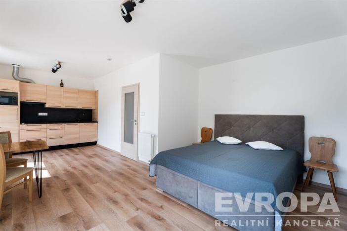 Prodej bytu 1+kk, Černý Důl, 33 m2