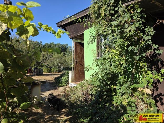 Prodej zahrady, Veselí nad Moravou, 393 m2