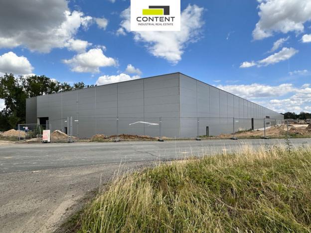 Pronájem výrobních prostor, Přimda - Mlýnec, 5000 m2