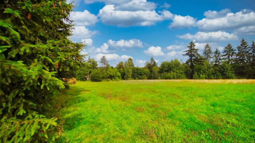 Prodej pozemku pro bydlení, Jevany, Rekreační, 2603 m2