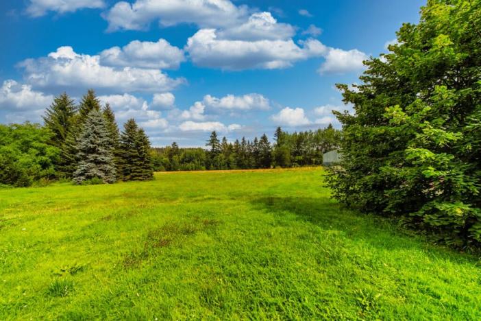 Prodej pozemku pro bydlení, Jevany, Rekreační, 2603 m2