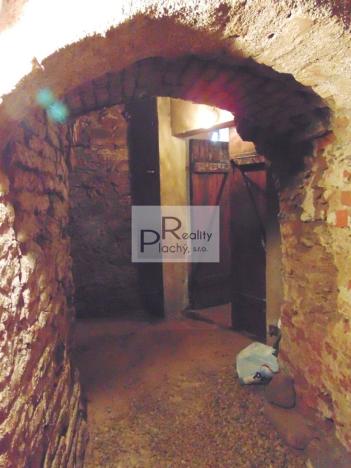 Prodej obchodního prostoru, Znojmo - Oblekovice, 1530 m2