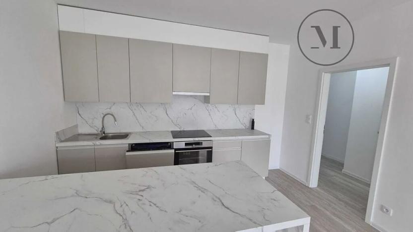 Pronájem bytu 2+kk, České Budějovice, Branišovská, 67 m2