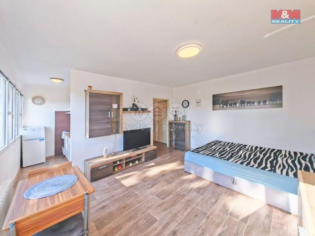 Prodej bytu 1+kk, Hradec Králové - Slezské Předměstí, Severní, 27 m2