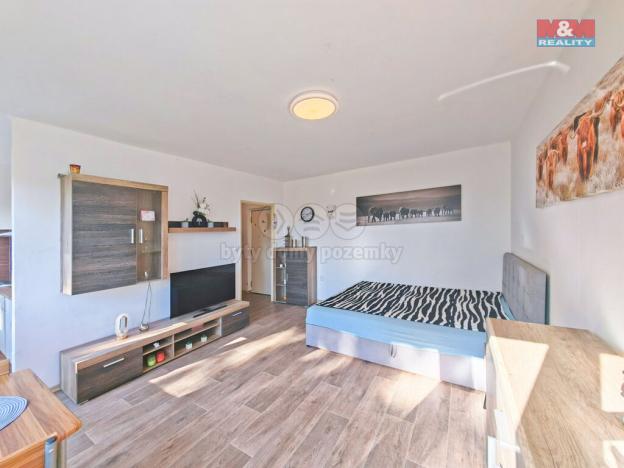 Prodej bytu 1+kk, Hradec Králové - Slezské Předměstí, Severní, 27 m2