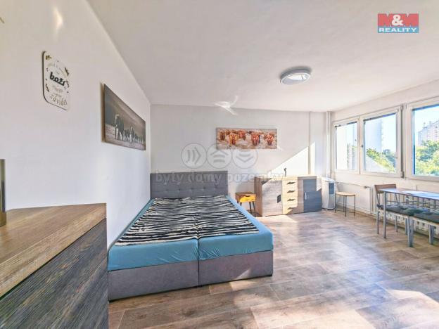 Prodej bytu 1+kk, Hradec Králové - Slezské Předměstí, Severní, 27 m2