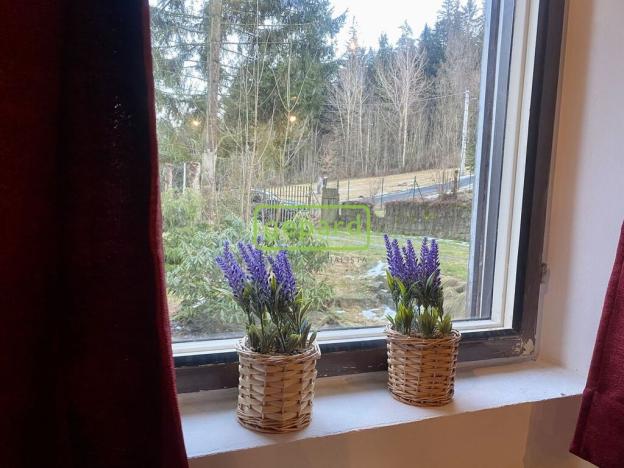 Pronájem chalupy, Pěnčín - Huť, 271 m2