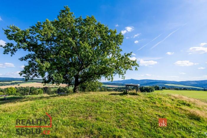 Prodej pole, Chrastava - Horní Chrastava, Frýdlantská, 11539 m2