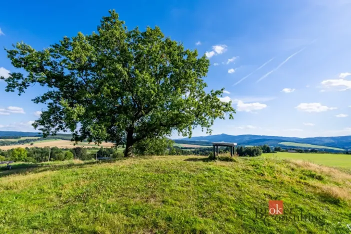 Prodej pole, Chrastava - Horní Chrastava, Frýdlantská, 11539 m2