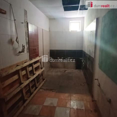 Prodej výrobních prostor, Děčín - Děčín VI-Letná, Dělnická, 1345 m2