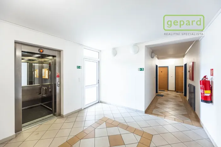 Prodej bytu 3+kk, Praha, Wiesenthalova, 80 m2