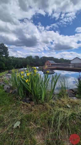 Prodej chalupy, Adamov, 98 m2