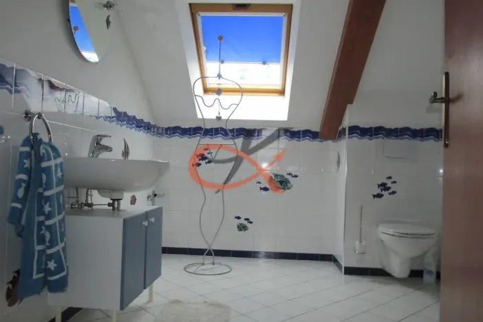 Pronájem rodinného domu, Krhová, Na Nivách, 300 m2