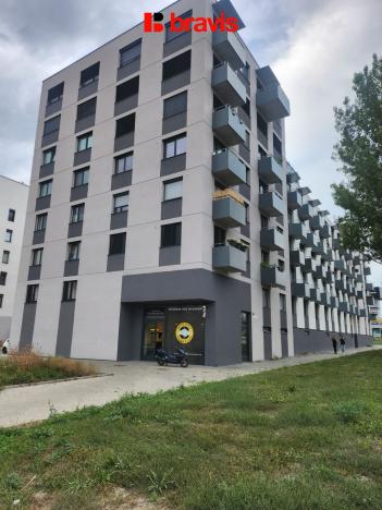 Pronájem garáže, Brno - Ponava, Reissigova, 15 m2