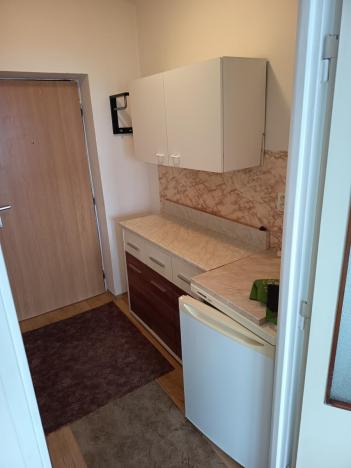 Prodej bytu 1+kk, Ostrava - Mariánské Hory, Baarova