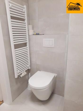 Pronájem bytu 1+kk, Olomouc, Aloise Rašína, 31 m2