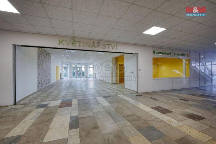 Pronájem obchodního prostoru, Třemošná, Plzeňská, 133 m2